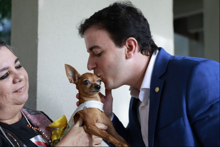 Projeto que inclui animais no Imposto de Renda deve tramitar na Assembleia