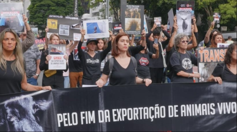 ManifestaÃ§Ã£o na Avenida Paulista em 2024  
